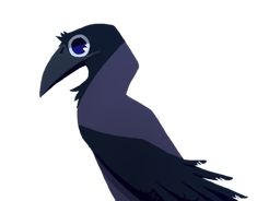 a black bird with blue eyes sitting on top of a tree branch in front of a white background