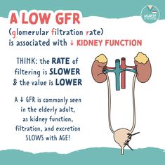 a poster with an image of kidney function and the words, low gfr