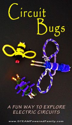 the book is about how to make crochet bugs