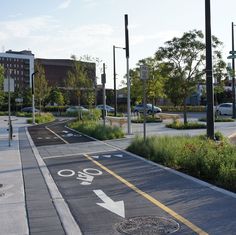 a bike lane with an arrow painted on the road next to trees and buildings in the background