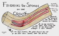 the diagram shows how to find the spot in the crohn and where it is located