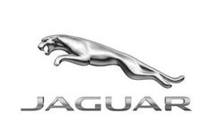 the jaguar logo is shown on a white background with silver letters and an image of a cat