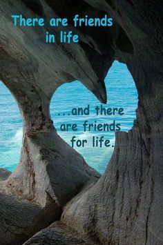 there are friends in life and there are friends for life quote on the rocks by the ocean