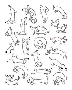 an image of dogs and their names in black ink on white paper, with the letter i