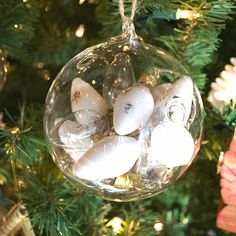 a glass ornament filled with rocks on top of a christmas tree