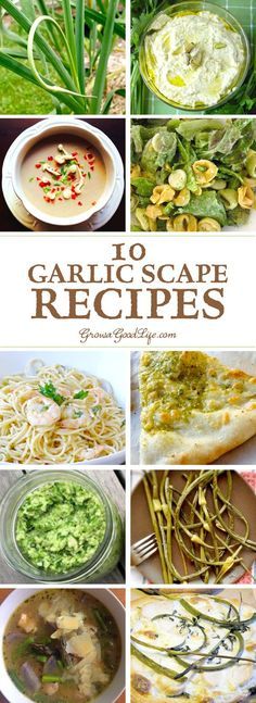 the top 10 garlic scape recipes