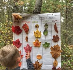 a young boy holding up a leaf chart in front of a tree with leaves on it