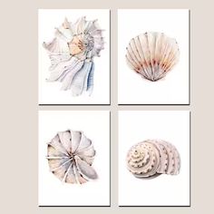 four seashells are arranged on white paper