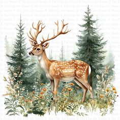 a watercolor painting of a deer in the woods with flowers and trees behind it