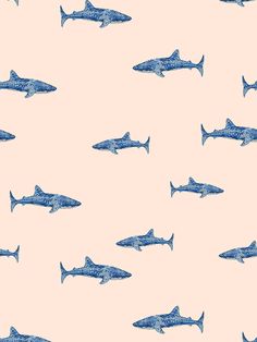 'Spotted Shark' Wallpaper by Tea Collection - Peach Sea Poster, Summer Prints Wallpaper, Beachy Wallpaper, Beachy Wallpapers, Coastal Wallpaper, Cute Summer Wallpapers, Ocean Wallpaper, Preppy Wallpaper, Watch Wallpaper