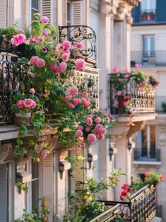 pink flowers are growing on the balconies of apartment buildings in paris, france