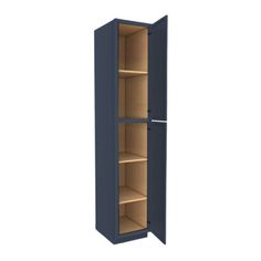 a tall blue cabinet with two shelves on one side and an open door on the other