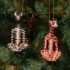 two giraffe ornaments hanging from a christmas tree