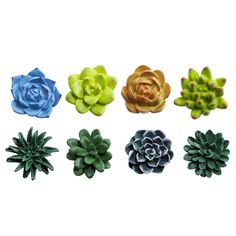 PRICES MAY VARY. Materials: Natural resin, lightweight and durable. With strong magnets buried inside, they can be firmly fixed on the refrigerator and will not easily fall off. Design:Vivid succulent plants shape, cute and funny. Size:Comes with 8 different patterns. Perfect to be used on fridge door, cabinet, whiteboard. Pretty patterns, add beauty to your decoration SOCOSY Plant Pattern 3D Resin Succulent Fridge Refrigerator Magnets, White Board Magnets for Home Refrigerator Office Display Bo Succulent Magnets, Plant Magnets, Resin Succulent, Office Display, Locker Magnets, Office Whiteboard, Fridge Door, Strong Magnets, Mini Succulents