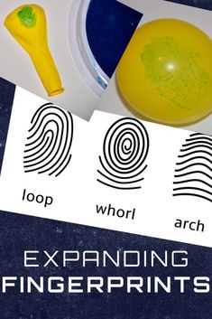 an image of a fingerprints and a yellow ball on a table with the words exporning fingerprints