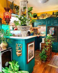 a kitchen filled with lots of potted plants