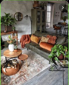 a living room filled with lots of furniture and plants on top of it's tables