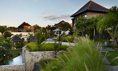 an outdoor garden with grass, rocks and plants in the foreground is a house