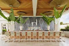 an outdoor bar with chairs and plants in front of the bar area, surrounded by palm trees