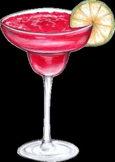 a drawing of a drink in a glass with a lime slice on the rim and watermelon garnish