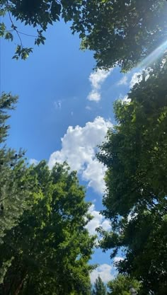 the sun shines brightly through the trees on a sunny day with blue skies and white clouds