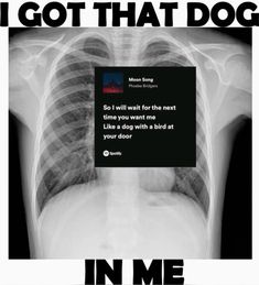 an x - ray image with the words i got that dog in me