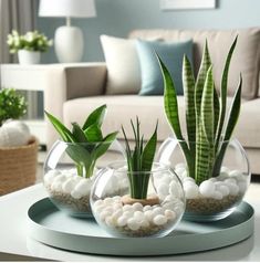 three glass vases filled with plants on top of a white table next to a couch