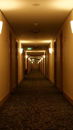 a long hallway with lights on both sides and carpeted flooring down the middle