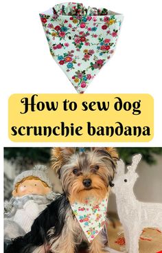 a small dog wearing a bib with the words how to sew dog scrunchie bandana