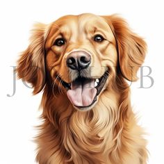 a painting of a golden retriever dog with its tongue out and his eyes open