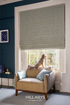 A golden cockapoo dog sitting on the top of an armchair looking out the window. There is a diamond print Roman blind at the window in a living room with a dark decor scheme. Dark Decor, Living Room Window, Room Window, Living Room Windows