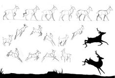 some drawings of deer running and jumping