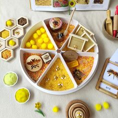 an assortment of bees and honeycombs arranged in a wheel on a table with beehive magnets