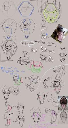 some drawings of different types of animals and their faces are shown in this drawing lesson