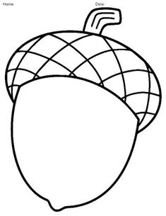 the outline of an acorn fruit is shown in black and white