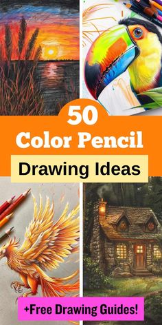 colorful pencil drawings with the title 50 color pencil drawing ideas