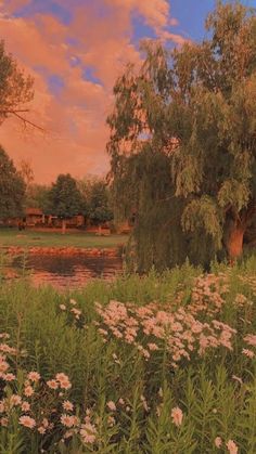 an image of a beautiful landscape with flowers in the foreground and trees on the other side