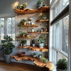 the shelves are filled with potted plants and other decorative items in front of large windows