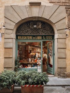 a store front with an arched doorway and green plants in the foreground, on a city street