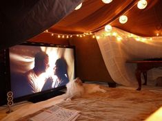 a white dog laying on top of a bed under a canopy next to a tv