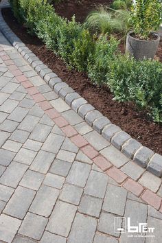 a brick walkway in the middle of a garden