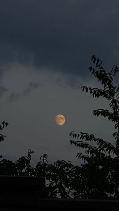 the full moon is seen through dark clouds above some tree branches in front of an overcast sky