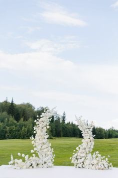 the table is set with white flowers and greenery in front of an open field