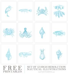 the set of 12 high resolution nautical illustrations is shown in blue ink on white paper