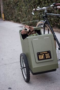 a dog in a box on the back of a bike