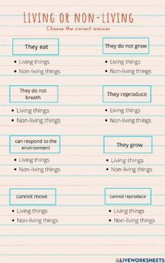 living or non - living worksheet