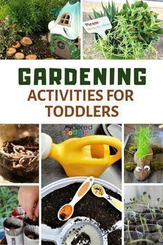 gardening activities for toddlers to do in the garden