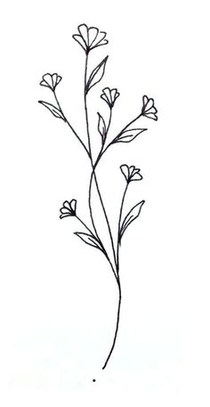 a black and white drawing of a flower