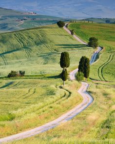 a dirt road winding through a lush green field