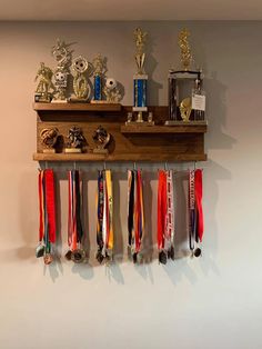 a wall mounted shelf with medals and trophies on it